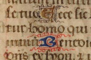 Detail of Recto of the leaf from a tiny Book of Hours, with 2 1-line in-line initials respectively in Gold or Blue pigment with pen-flourishes respectively of purple or red pigment. Photography © Mildred Budny