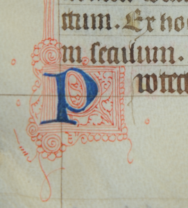 Initial P of Prayer in Book of Hours, with Photography © Mildred Budny