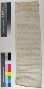 Italian notarial roll of 1305 unrolled, face. Photography © Mildred Budny