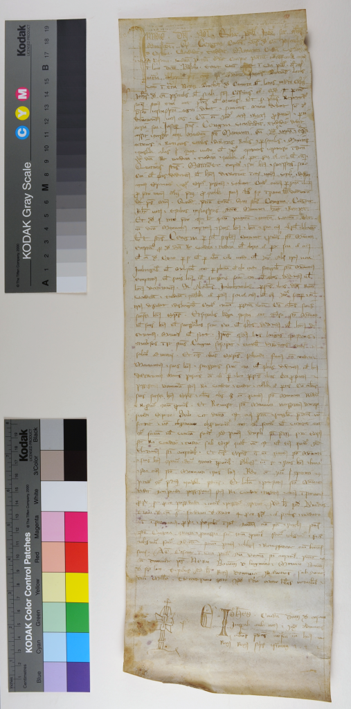 Italian notarial roll number 1305, face unrolled. Photography © Mildred Budny 