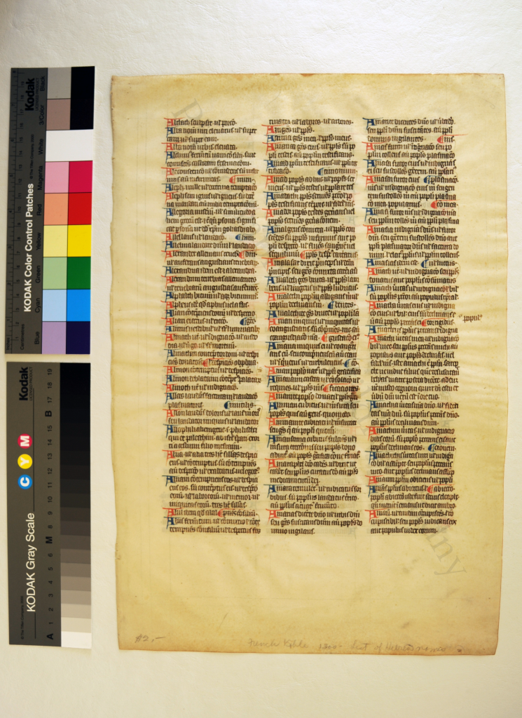 Private Collection, Leaf from Ege MS 14, with part of the A-Group of the 'Interpretation of Hebrew Names'. Photograph by Mildred Budny.