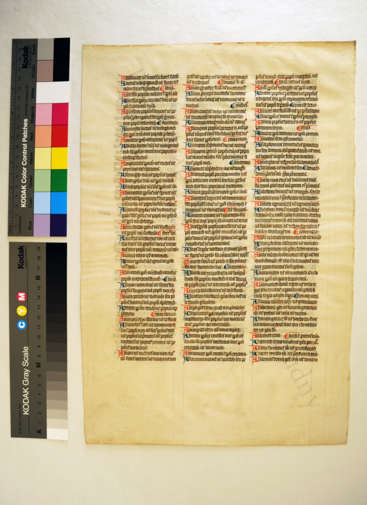 Verso of Leaf from the A-Group of the 'Interpretation of Hebrew Names' in 'Ege Manuscript 14'. Photography by Mildred Budny