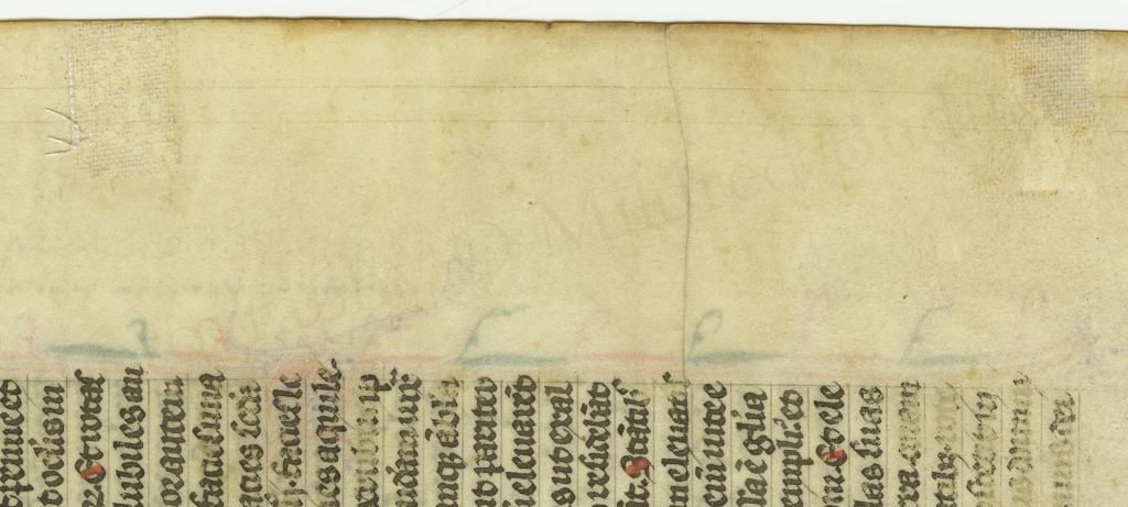 Traces of Ege-style mounting tape at the outer edge of the Ezekiel Leaf from 'Ege Manuscript 61'. Photography by Mildred Budny