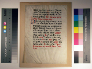 Verso of Folio 4 from a Missal. Photography © Mildred Budny