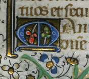 Detail of verso of a leaf from the Office of the Dead in a Book of Hours, with the polychrome Initial M (of 'Manus') with an inset pair of trefoil leaves or fruits against gold leaf background. Photograph © Mildred Budny