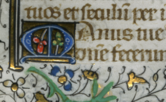 Detail of an initial M on the verso of the leaf. Photography © Mildred Budny