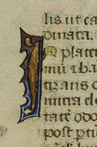 Detail of Verso from a Detached Leaf from a tiny Book of Hours, with the decorated initial I of 'In' within the Hours of the Virgin. Photography © Mildred Budny