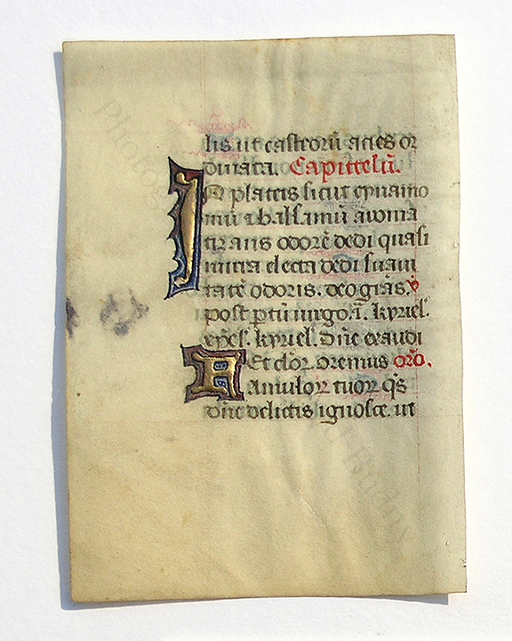 Recto of leaf from a tiny 12-line Book of Hours, with 2 polychrome opening initials in gold leaf and other pigments Budny Handlist 11. Photograph © Mildred Budny