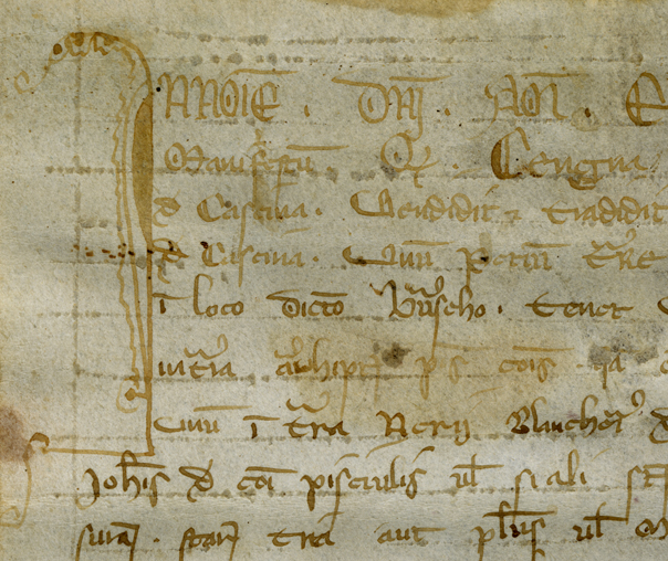 Top left of 1305 notarial document from Cesena, Italy, with opening initial and first lines of text in brown ink. Photography © Mildred Budny