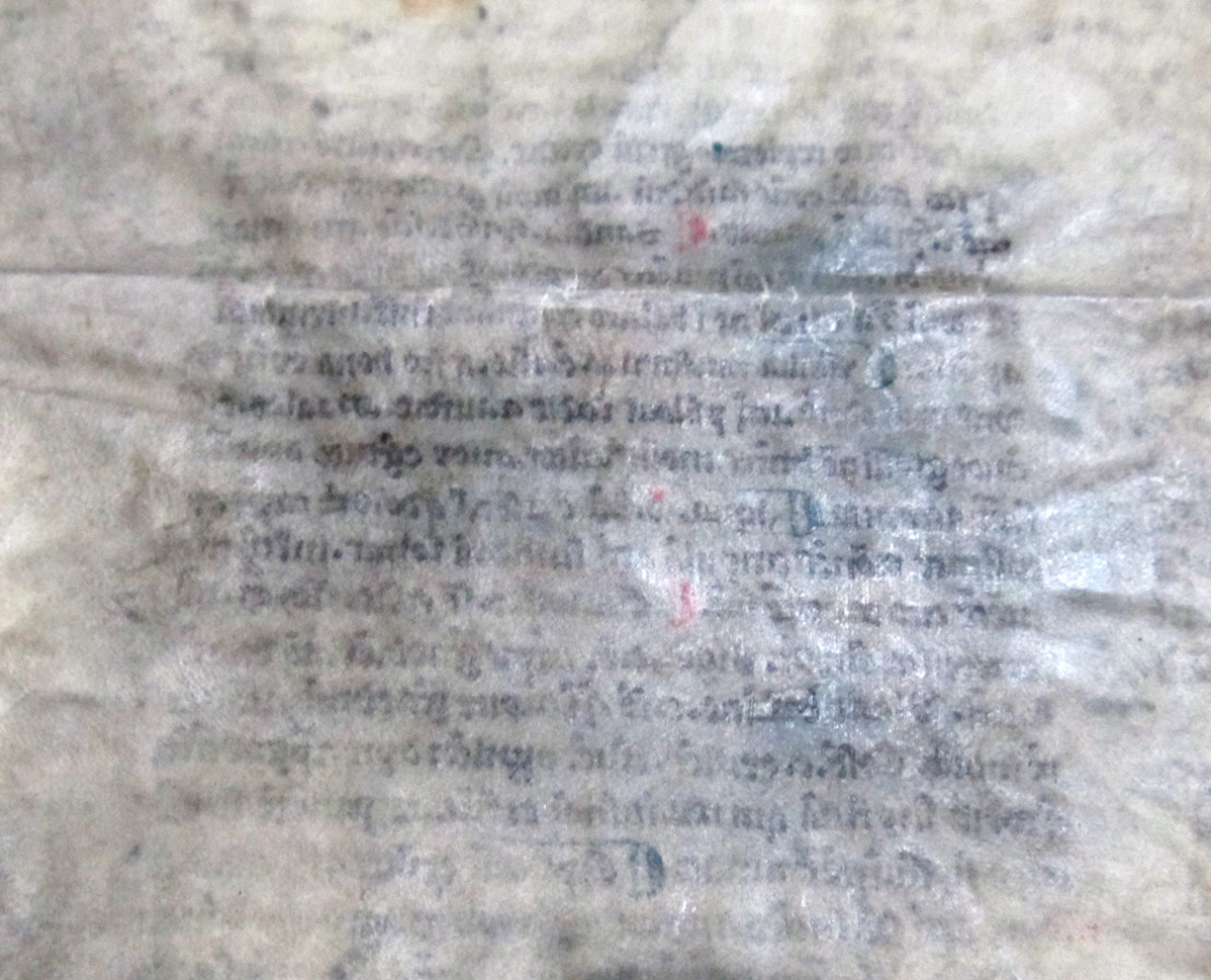 Show Through from the lower part of one column of text on the 'interior' of the bifolium onto its exterior. Reproduced by permission