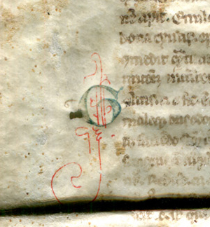 Detail of Initial G on the Legible Verso of Reused Bifolium from a 13th-century Latin treatise on medical substances. Reproduced by permission.