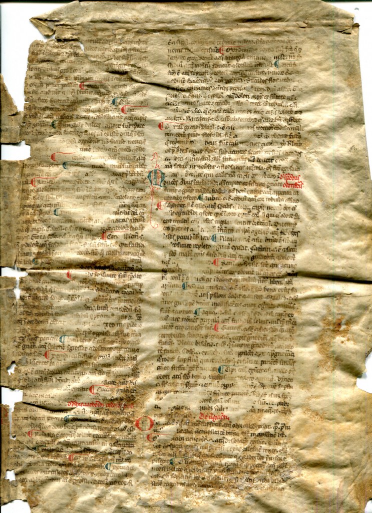 Legible Recto of Reused Bifolium from a 13th-century Latin treatise on medical substances. Reproduced by permission.