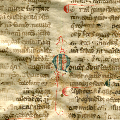 Detail of initial M in the intercolumn of the Legible Recto of Reused Bifolium from a 13th-century Latin treatise on medical substances. Reproduced by permission.