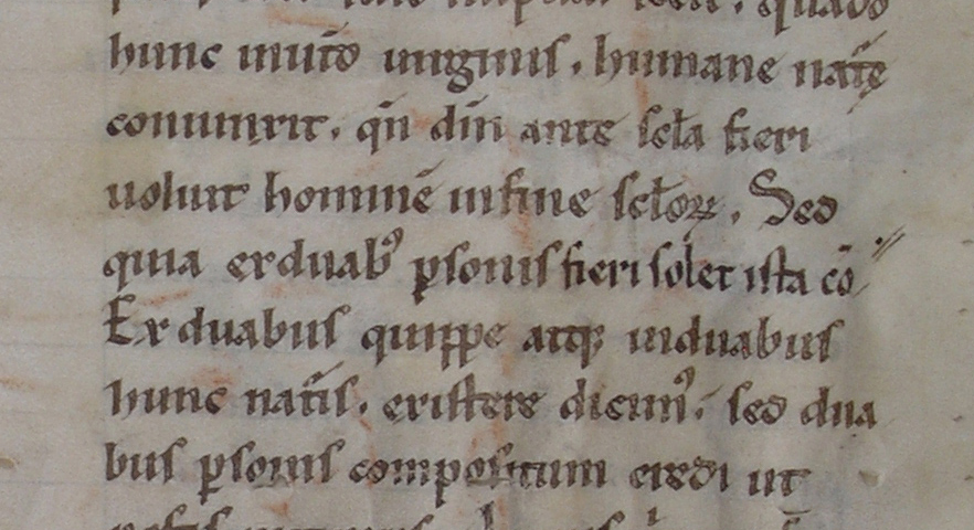 Detail of verso of Lectionary Leaf with scribal omission marked by diagonal lines at the line end. Photograph © Mildred Budny. Reproduced by permission.