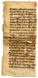 Recto of the fragmentary leaf from a 13th-century copy of Statutes for the Cistercian Order. Reproduced by permission.