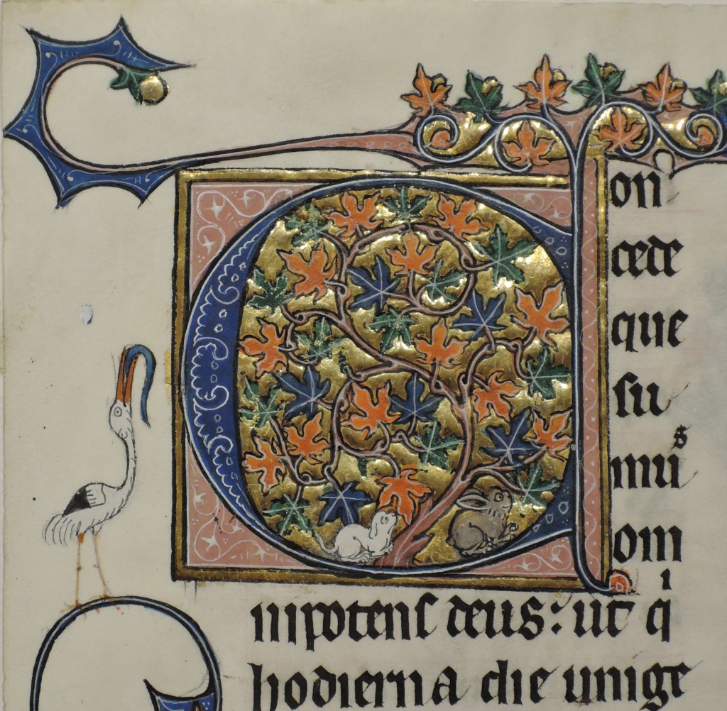 Illustrated initial C for 'Concede' on a leaf from 'Otto Ege MS 15' ('The Beauvais Missal'). . Otto Ege Collection, Beinecke Rare Book and Manuscript Library, Yale University. Photograph courtesy Lisa Fagin Davis. Reproduced by permission.