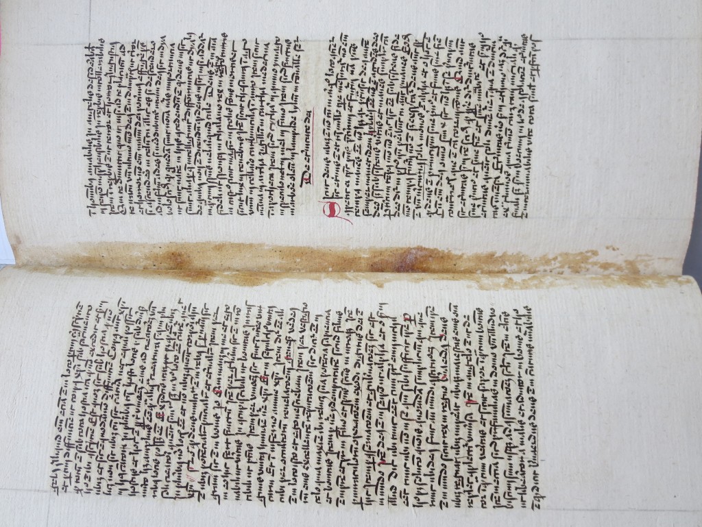 Paste stains between folios 7v - 8r in Quire 1 of Albertus Magnus text in Le Parc Abbey Volume. Photography © Mildred Budny
