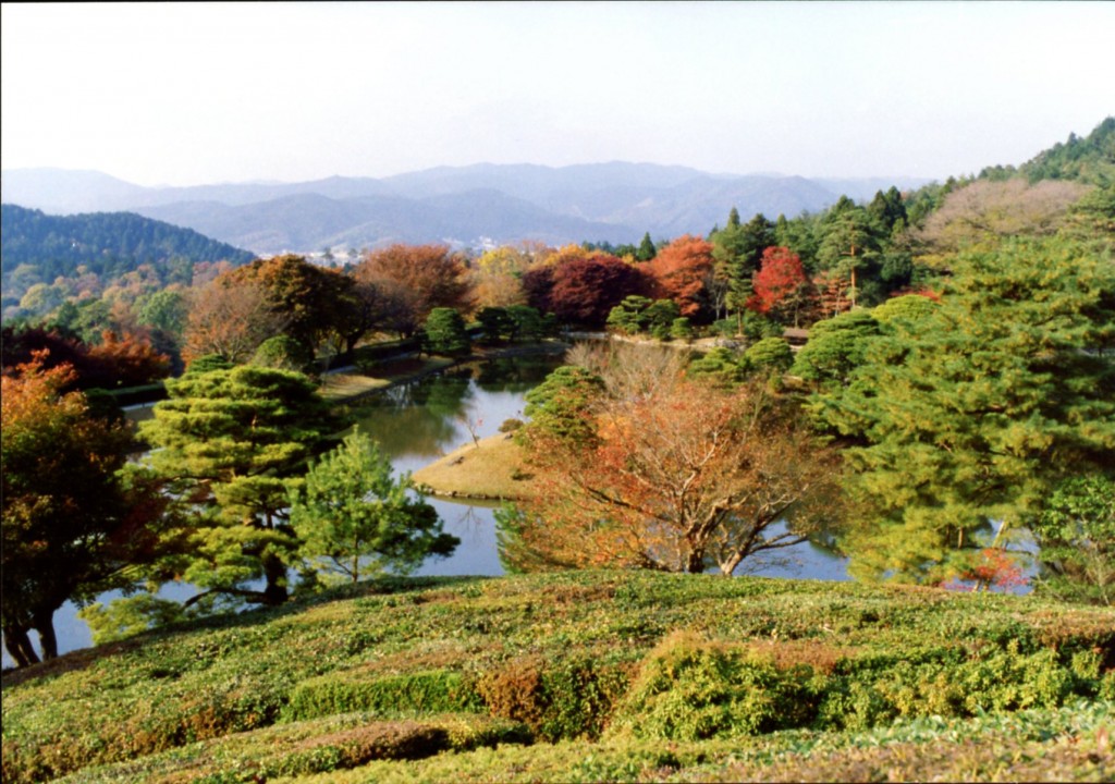 Kyoto Imperial Palace grounds on 30 November 1993. Photograph © Mildred Budny.