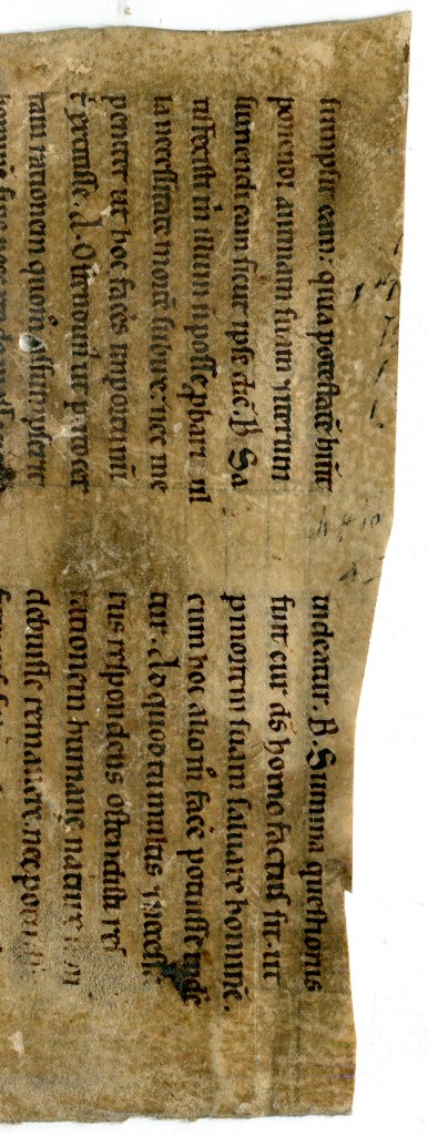 Recto of the Leaf and Exterior of the Binding, Detail: Top, Lines 1-9, turned sideways.