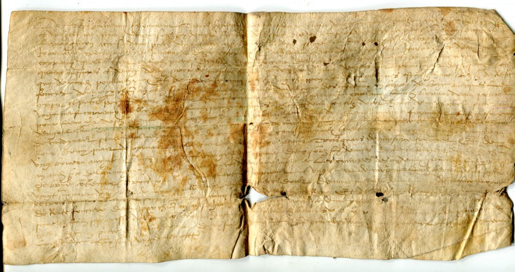 Single-sheet document in Latin on vellum, circa 1530s, listing rents for plots of land, from Brie in France. Private collection, reproduced by permission.