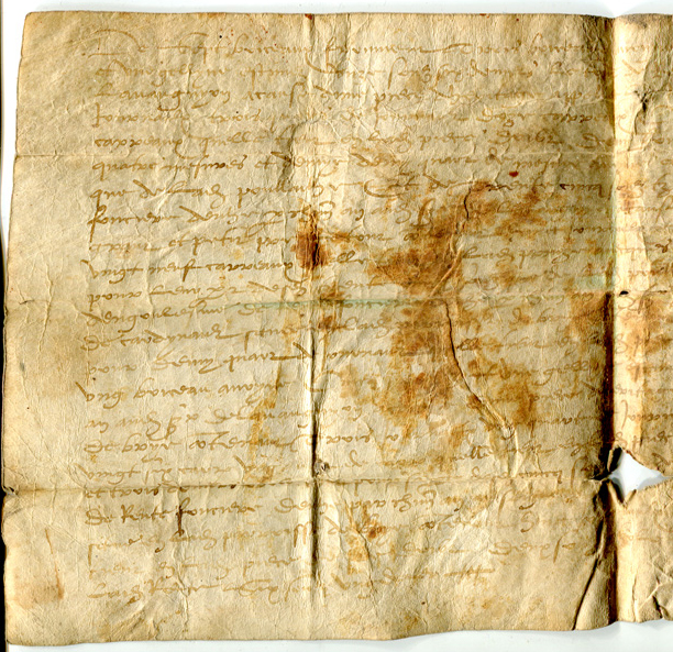 Left-hand half of face of Single-sheet document in Latin on vellum, circa 1530s, listing rents for plots of land, from Brie in France. Private collection, reproduced by permission.