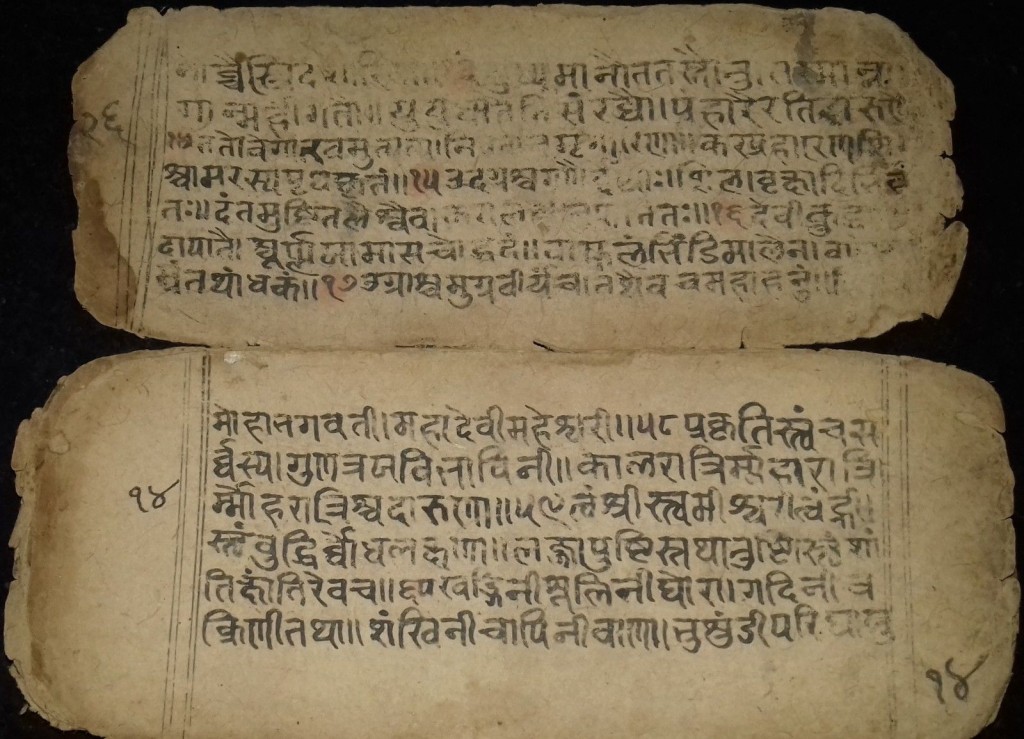 2.jpg = Fragment of a manuscript on paper in Sanskrit. Private Collection, purchased online in 2018.
