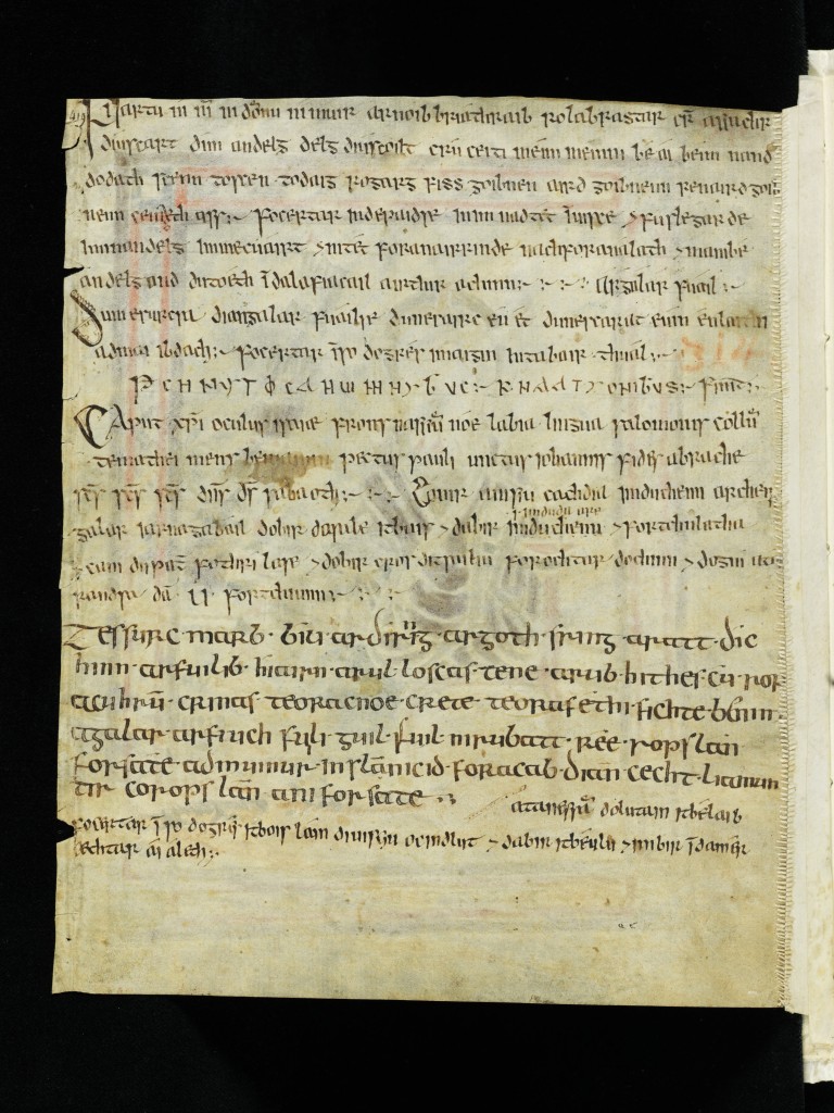Saint Gall, Stiftsbibliothek, Codex Sang. 1395, page 419, via www.e-codices.ch.