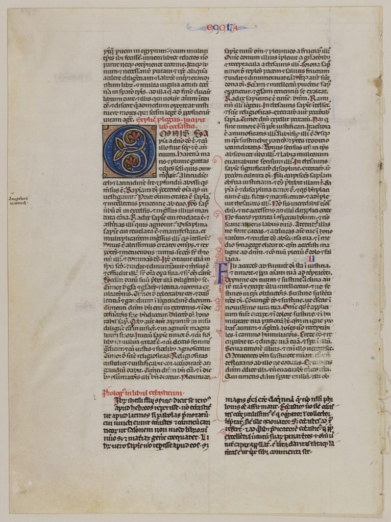 Special Collections and University Archives, Stony Brook University Libraries, Otto F. Ege: Fifty Original Leaves from Medieval Manuscripts, Leaf 19, 'recto'. Single leaf from Vulgate Bible, with part of the Old Testament. Public Domain.