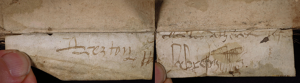 Smeltzer Collection, Suberville (1598), Vellum Support, Strip 2, Outer Flap 'Rejoined'.