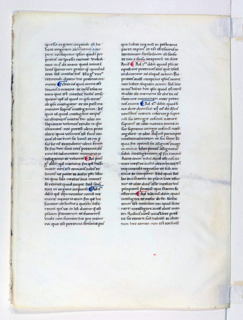 Otto F. Ege: Fifty Original Leaves from Medieval Manuscripts, Leaf 40, "Verso", Special Collections and University Archives, Stony Brook University Libraries.