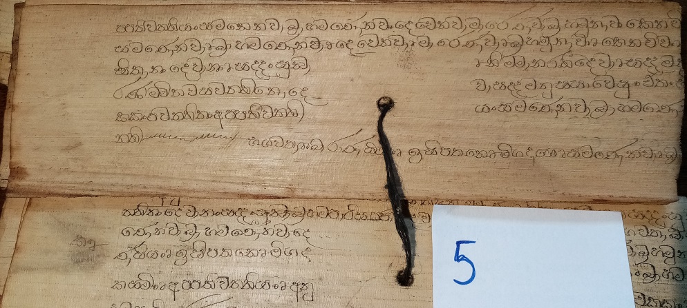 Private Collection, Sinhalese Palm-Leaf Manuscript, Leaf 5 Reproduced by Permission.