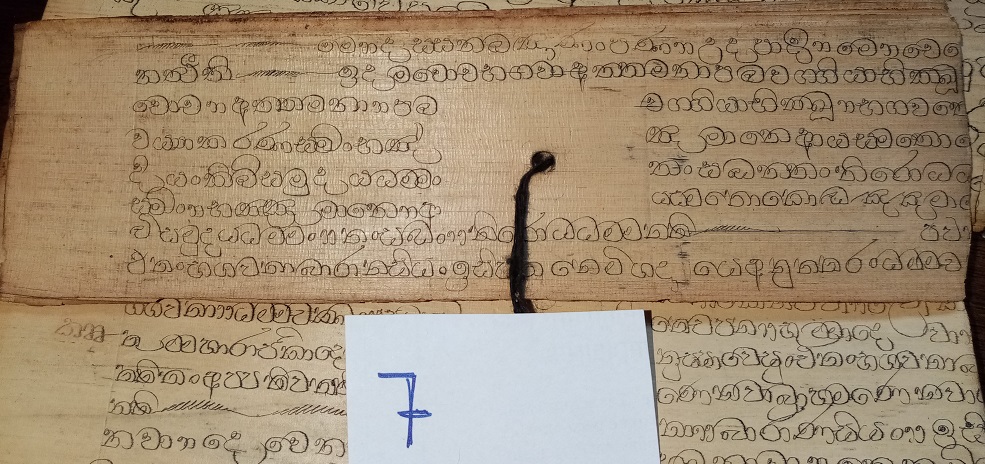 Private Collection, Sinhalese Palm-Leaf Manuscript, Leaf 7. Reproduced by Permission.