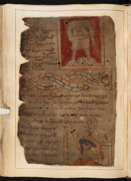 Some of 'The Marvels of the East' in the 'Beowulf Manuscript'. ©The British Library Board, Cotton MS Vitellius A. XIV, folio 102v. Reproduced by permission.