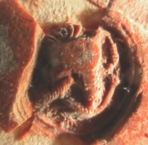 Close-up of the seal with lower side-lighting. Image reproduced by permission.
