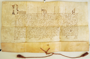 Document of Pope John XXII for Berengarius, unfolded. Photography by Mildred Budny