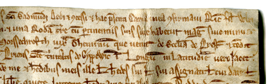 Detail at top right of deed of sale of land at Preston, near Ipswich, in Suffolk, England, showing references in the text to the Church at Preston and the Holy Trinity at Ipswich ('Gyppewic'). Reproduced by permission.