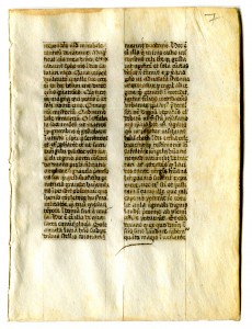Folio 7 recto, with a portion from a text as yet unidentified. Reproduced by permission.