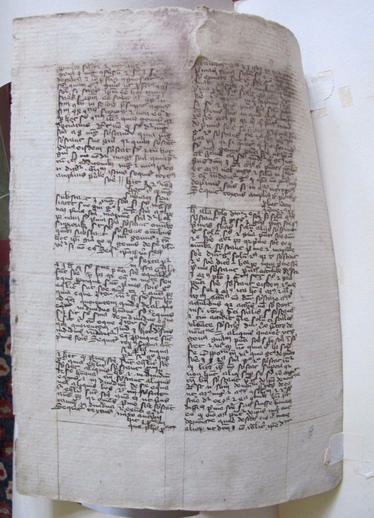 Recto of Oregon Leaf lifted from Otto Ege's mat to show its full extent.