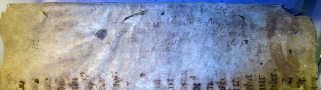 Detail of the Recto of the Part-Leaf Turned Sideways. The Added Title. Photograph by the Owner, used by Permission.