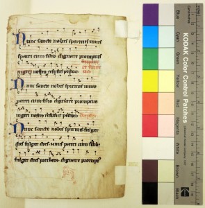 Beinecke Rare Book and Manuscript Library, Otto Ege Collection, Family Album, Specimen Leaf from 'Ege Manuscript 8', Recto.
