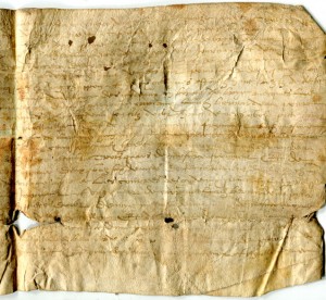 Right-hand half of face of Single-sheet document in French on vellum, circa 1530s, listing rents for plots of land, from Brie in France. Private collection, reproduced by permission.