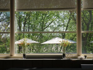 View from Fetzer Lounge at the 2017 Congress. Photography © Mildred Budny.