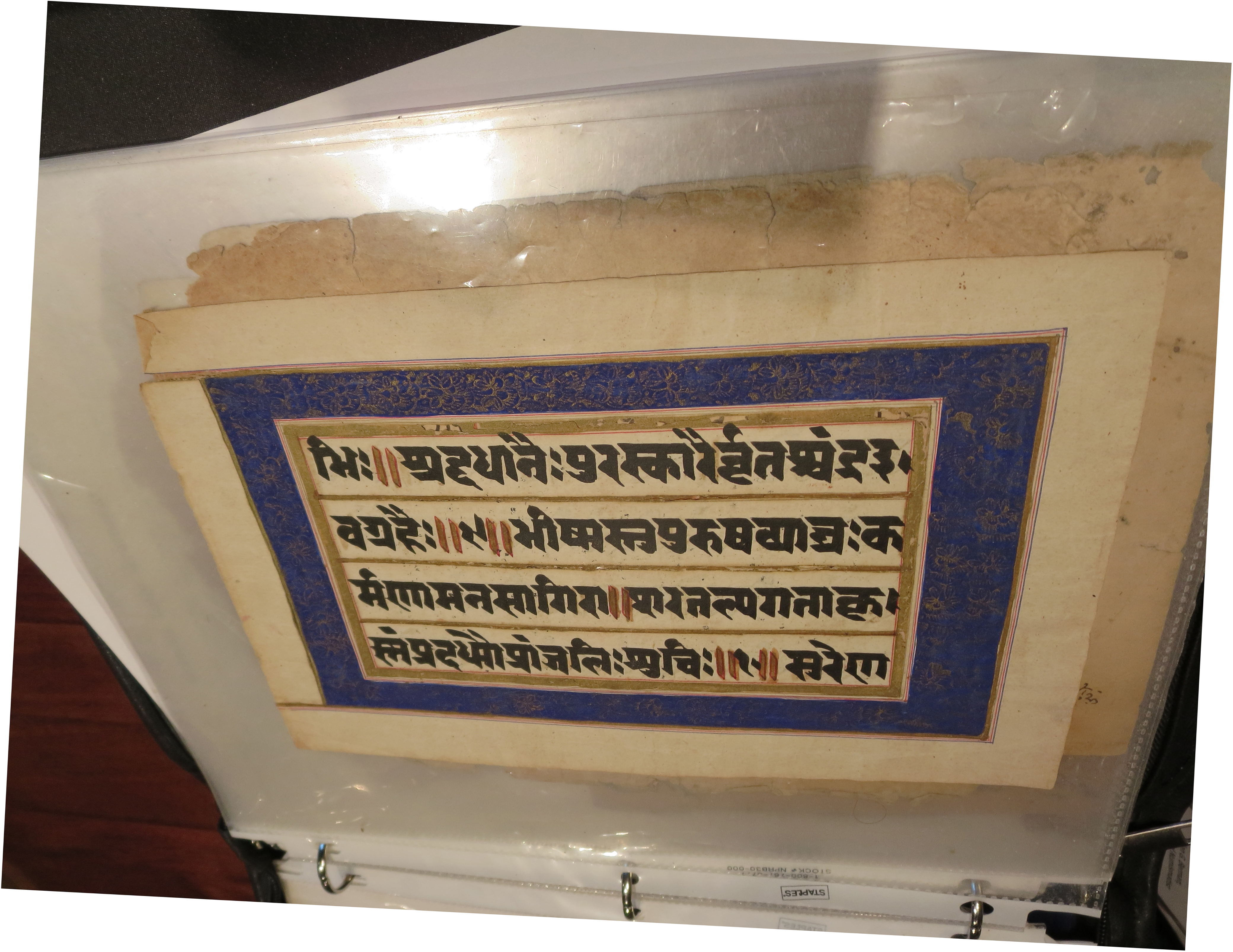 Blue-Bordered Side (Recto) of the Paper Leaf in Sanskrit, seen from an angle within the transparent archival polypropylene slip-in protector. Private Collection. Photograph by Mildred Budny.