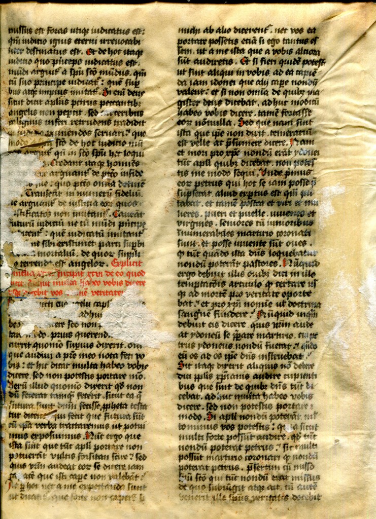Augustine Homilies Bifolium Folio II recto. Private collection, reproduced by permission.