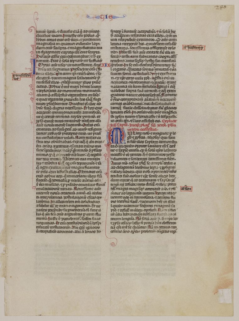 Special Collections and University Archives, Stony Brook University Libraries, Otto F. Ege: Fifty Original Leaves from Medieval Manuscripts, Leaf 19, 'verso'. Single leaf from Vulgate Bible, with part of the Old Testament. Public Domain.