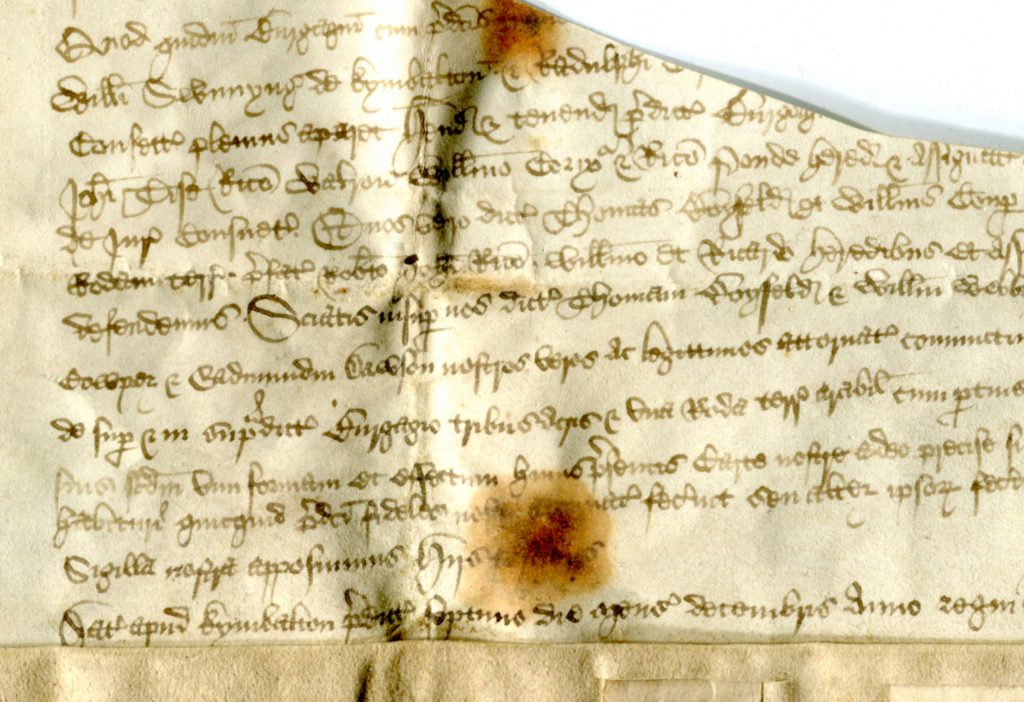 Charter 2: 10 Henry VII Face, lower left.