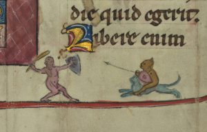 Baltimore, Walters Art Museum, MS. W.148, folio 33v, bottom right, with fighting creatures. Image via Creative Commons.