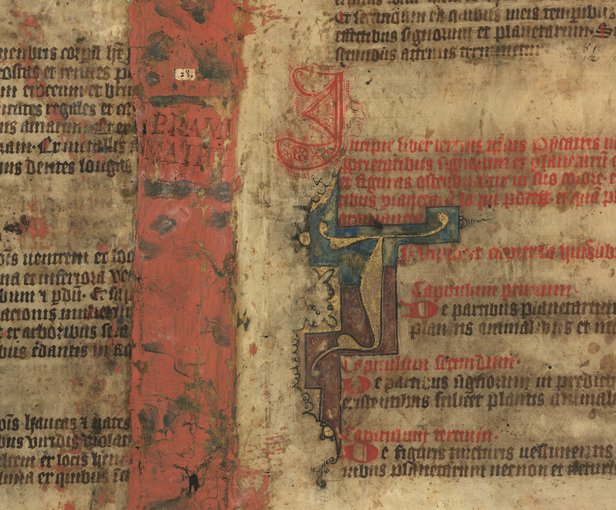Martin, Slovakia, Slovak National Library, Fragment of the Picatrix, circa 1400 CE. Image Public Domain via Wikimedia Commons.