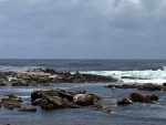 Cape Point Cape of Good Hope Natre Reserve c 12 2022 Ann PvZ IMG_0261