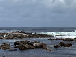 Cape Point, Cape of Good Hope Natre Reserve c 12 2022 Ann PvZ IMG_0261 at 1920 pixels W